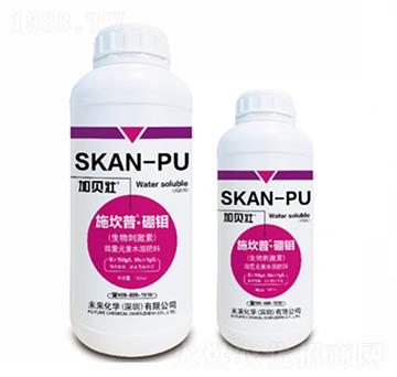 ʩ����-���f-δ��(l��i)���W(xu��)