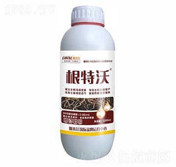 ������-٤�נ�-�_˼ķ