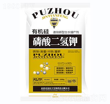 1000g�ЙC(j��)����������-�����S