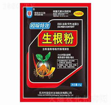 ����������-�����S