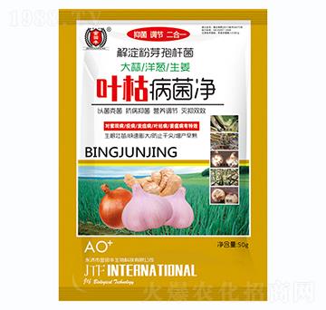 ���������[������-�~�ݲ�����-�����S