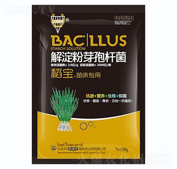 �����ѿ�ߗU��-�������紲��(zhu��n)��-�����S