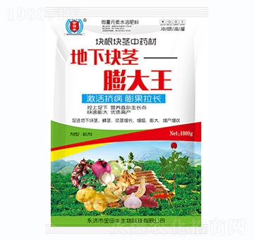 ���K�o�����-�����S