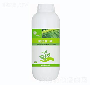 �D�͵ϡ���-�D�͵�