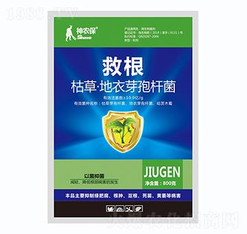 �ݲ�ѿ�ߗU��-�ȸ�-��(zh��n)܇