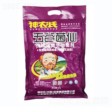 �����x΢�������-��Ⱦ���-���r��