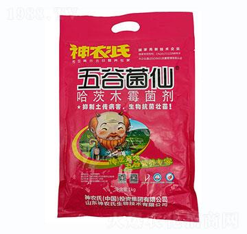 ����ľù��-��Ⱦ���-���r��