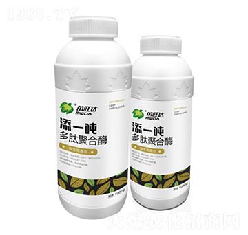 ���ľۺ�ø-��һ��-�����_�r�I(y��)