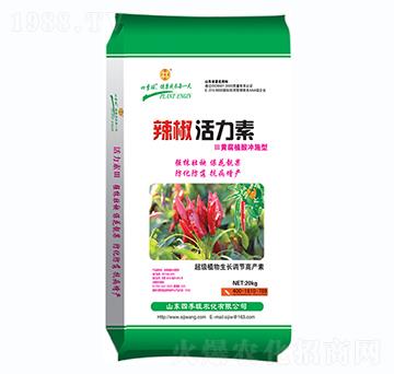 ��������ˮ�ܷ���-����������-�ļ���