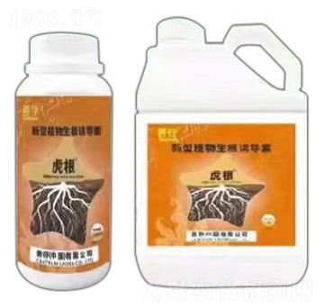 ����ֲ�������T��(d��o)��-����-�ƴ�����