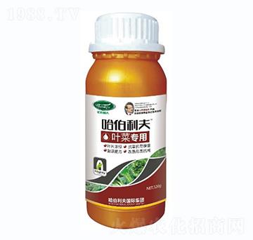 �~�ˌ���-��������