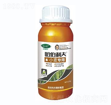 С����(zhu��n)��-��������