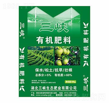 �ЙC����-���{���B(t��i)