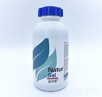 �}��(zhu��n)��-��Ȼ��