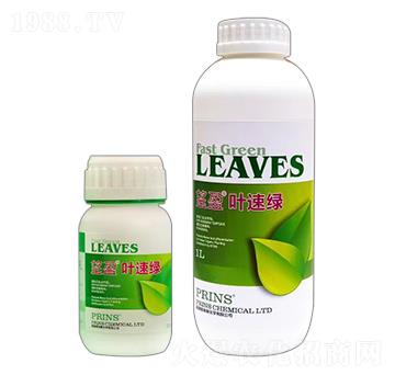 ��ӯ�~�پG-Ӣ��(gu��)����˹