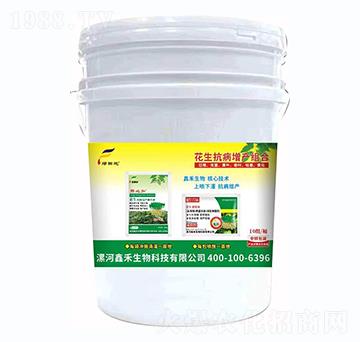 �����������a(ch��n)�M��-�G���-�κ�����