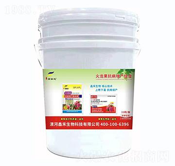 �������������a(ch��n)�M��-�G���-�κ�����