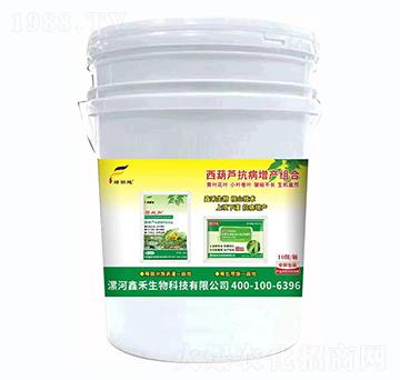 �����J�������a(ch��n)�M��-�G���-�κ�����