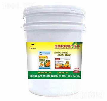 ���ٿ������a(ch��n)�M��-�G���-�κ�����