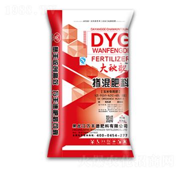 ���׌��Ó����25-11-12-������-�f�S��