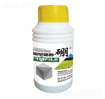 �����Ǵ���-���S���r(n��ng)-���S����