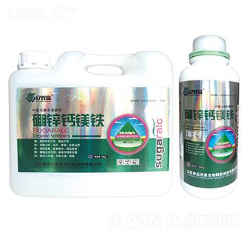 ���\�}�V�F-�|�p�A-����Ԫ��