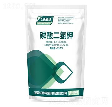 ��������-Ӣ���ֲ���