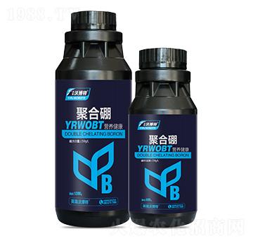 �ۺ���-Ӣ���ֲ���