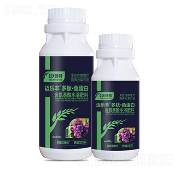 ����������ġ��~(y��)����-�~��(l��)�S-Ӣ���ֲ���