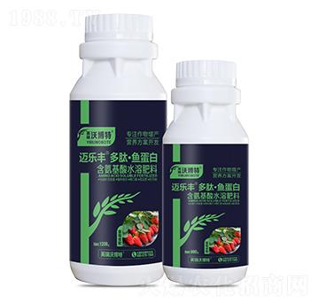 ��ݮ������ġ��~(y��)����-�~��(l��)�S-Ӣ���ֲ���