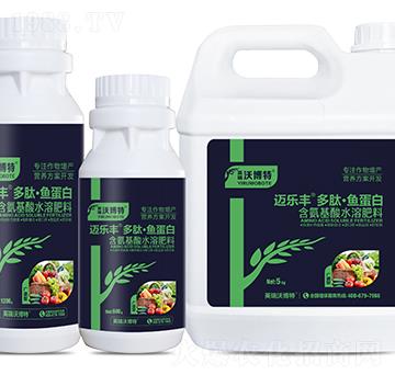 �V�V�Ͷ��ġ��~(y��)����-�~��(l��)�S-Ӣ���ֲ���