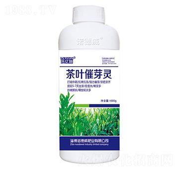 ���~��ѿ�`-���|ʩ-�Z����