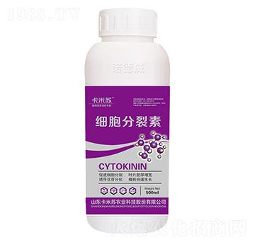 500ml��(x��)��������-�Z����