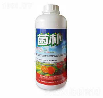 �~���׺������~���-���a-��ɫ����