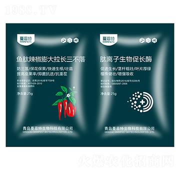 �~������������L������+���x��������Lø-�Z����