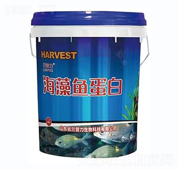 �����~(y��)����-�m����