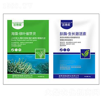 ���塤�G�~��ѿ�`+��ø�����L������-�Z����