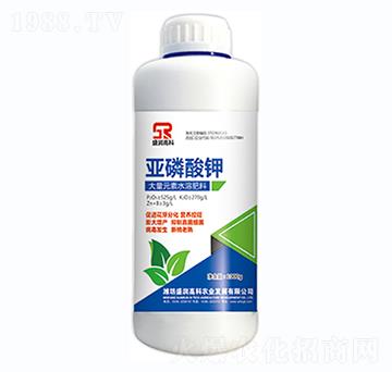 �������-ʢ��(r��n)�߿�