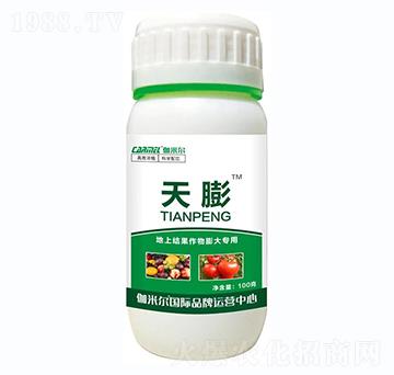 ���Ϲ���������-����-٤�נ�-�_˼ķ