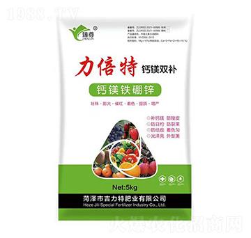 �������}�V�p�a(b��)-�����طʘI(y��)