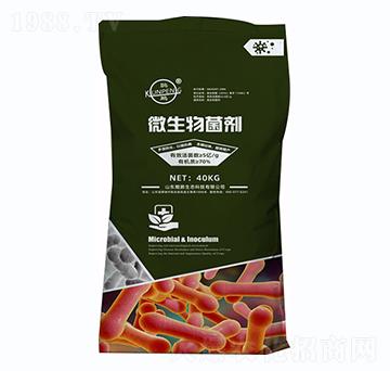 ΢�������-�H�i���B(t��i)