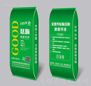 ��ø�����}�V-�����t