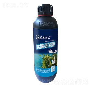 ��ø������-�廨���-�|������