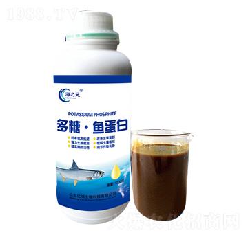 ���ǡ��~(y��)����-�|������