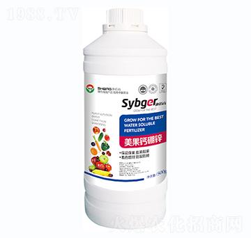 �����}���\-ʩ�۸�