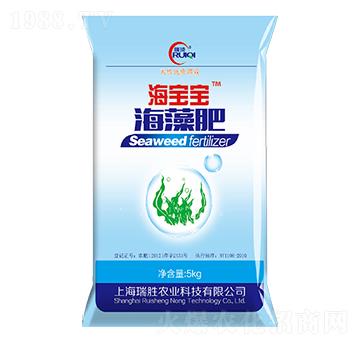 �����-������-�����r(n��ng)�I(y��)