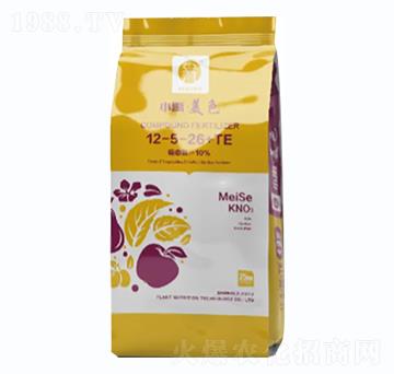 ��(f��)�Ϸ���12-5-26+TE-С����ɫ-С��