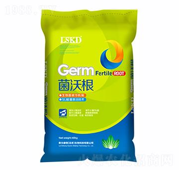 ���ָ�-�R�˿��D