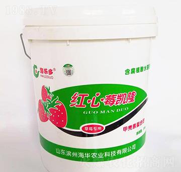 �t��ݮ�P�����_ʩ�ͣ�-���A�r(n��ng)�I(y��)