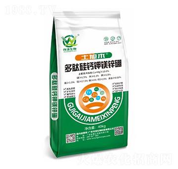 ���Ĺ��}��V�\��-��������